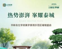 热势澎湃，峯耀泰城-美学示范区璀璨盛启！