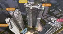 2024深圳买房政策是什么？深圳买房楼盘有哪些?