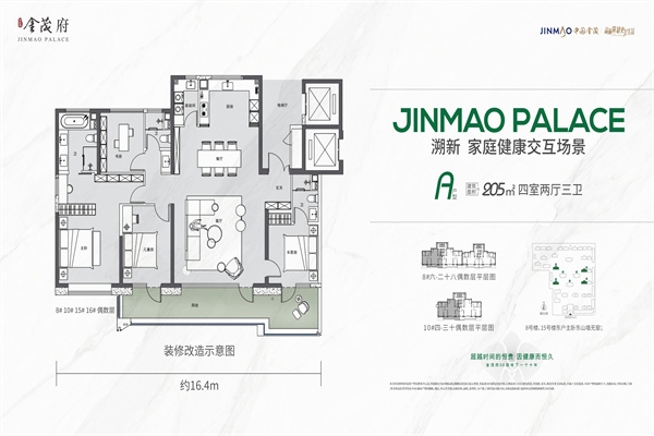 科技路金茂府在售205㎡户型!该户型如何?