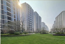 招商保利·天樾玺：二月施工情况播报！