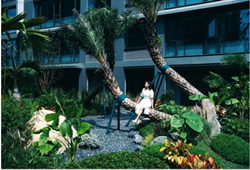 远洋四季宸章：小憩 悠谷翠廊！