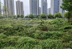 龙港此地块挂牌出让，2157万起！