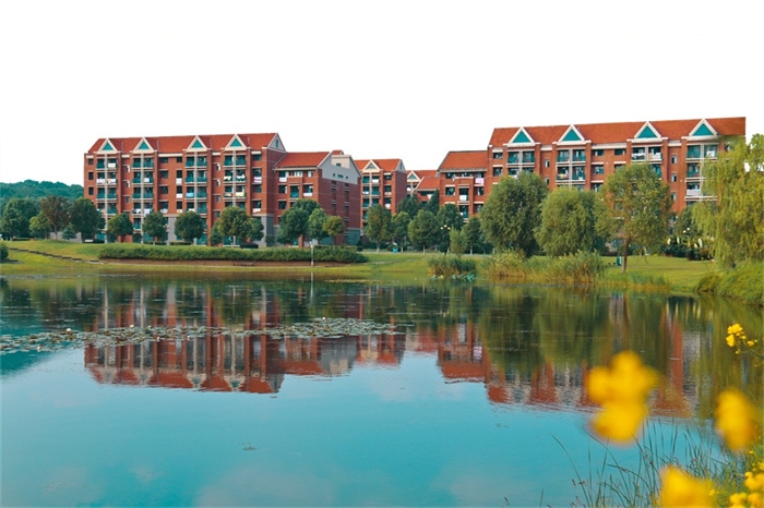 正商红溪谷怎么样?教育资源丰富吗?