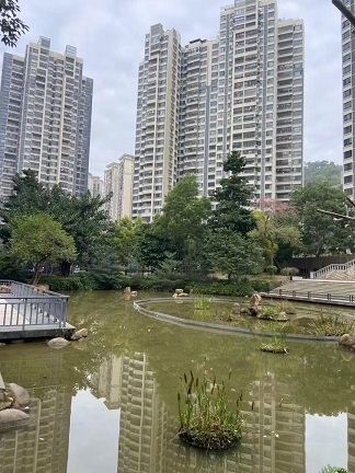 肇庆高要刚需楼盘性价比高有哪些楼盘？彩虹翠景房价4字头起