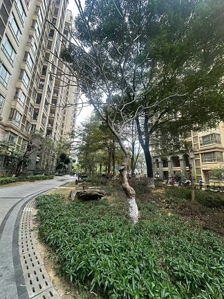 肇庆端州低首付的楼盘有吗？君安峰景湾首付4.8万起