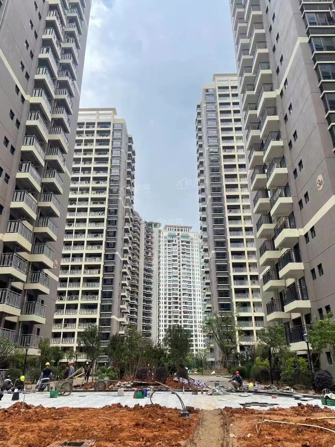 南宁柳沙三兴花园房价_二手房_租房-南宁楼盘网