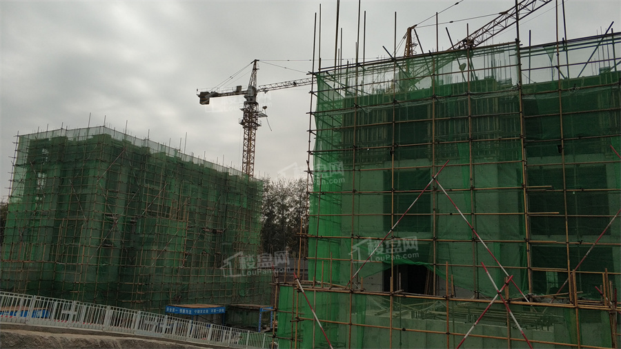 天润福庭图片相册_户型图_实景图-石家庄楼盘网