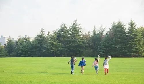 万创·鹿鸣见山实景图