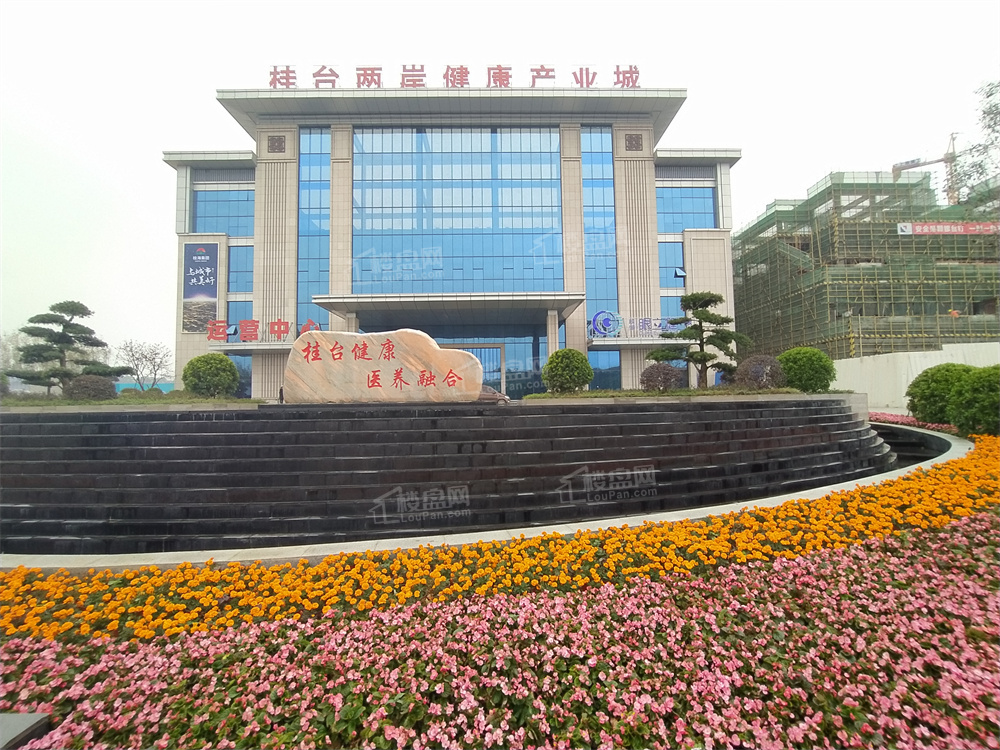 桂台两岸健康产业城实景图