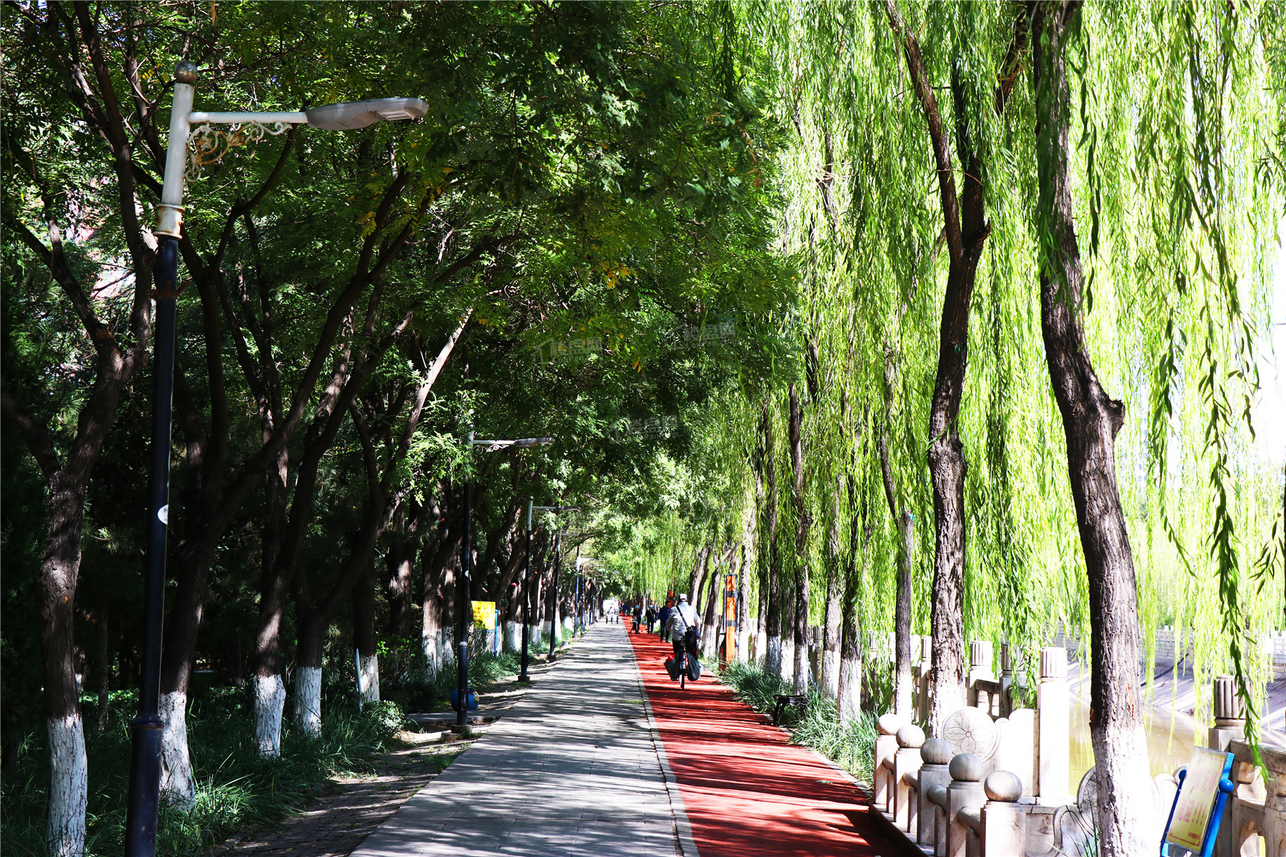 华远·海蓝和光实景图