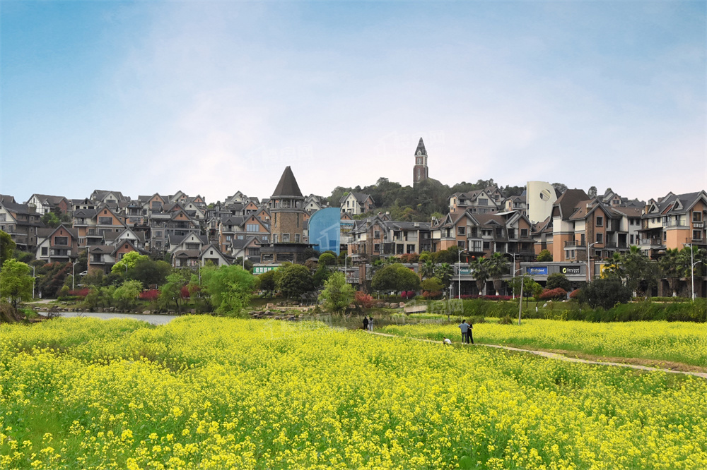 青龙湾图片_户型图_样板间图_装修效果图-株洲楼盘网