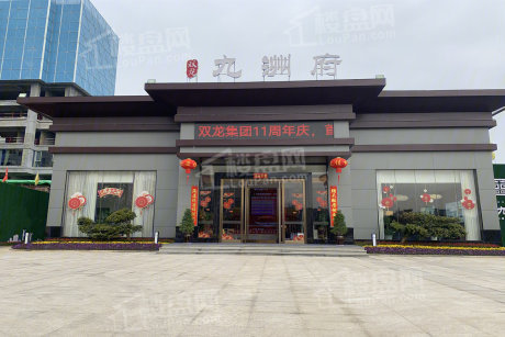 双龙九洲府实景图