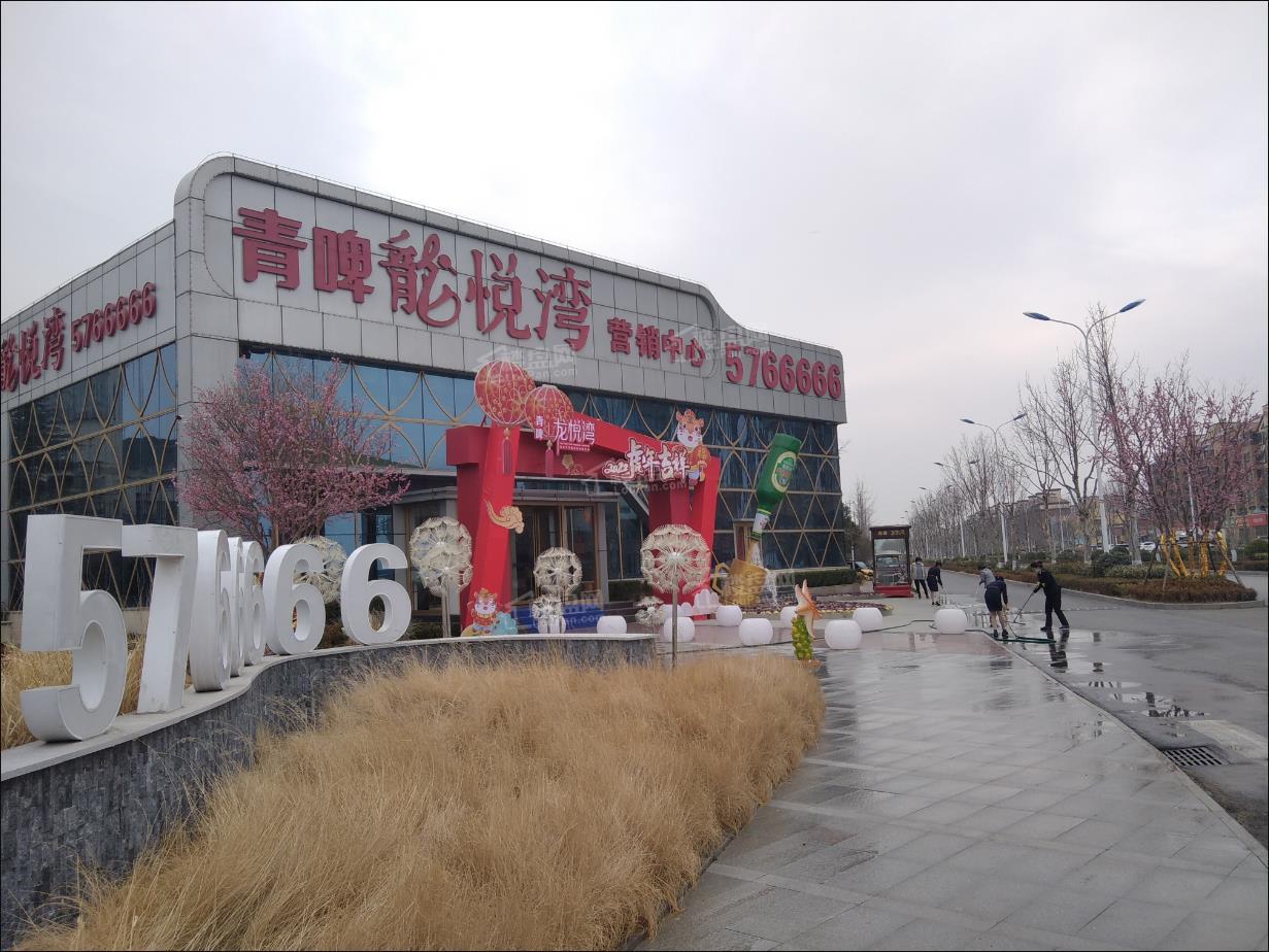 青啤龙悦湾实景图