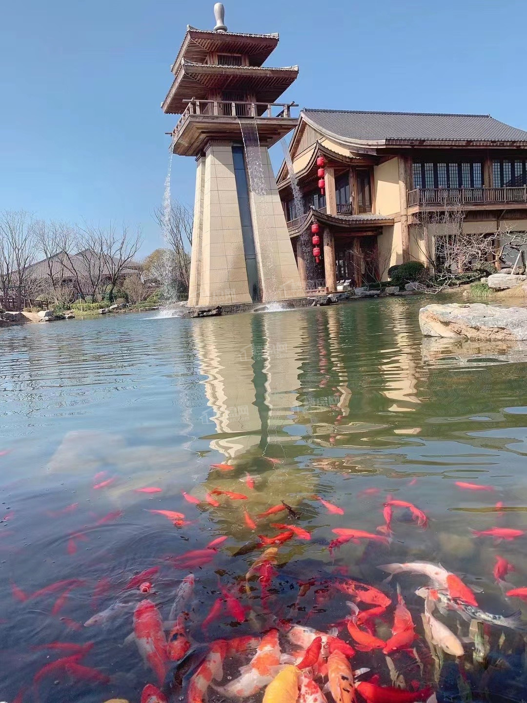 太白山唐镇实景图