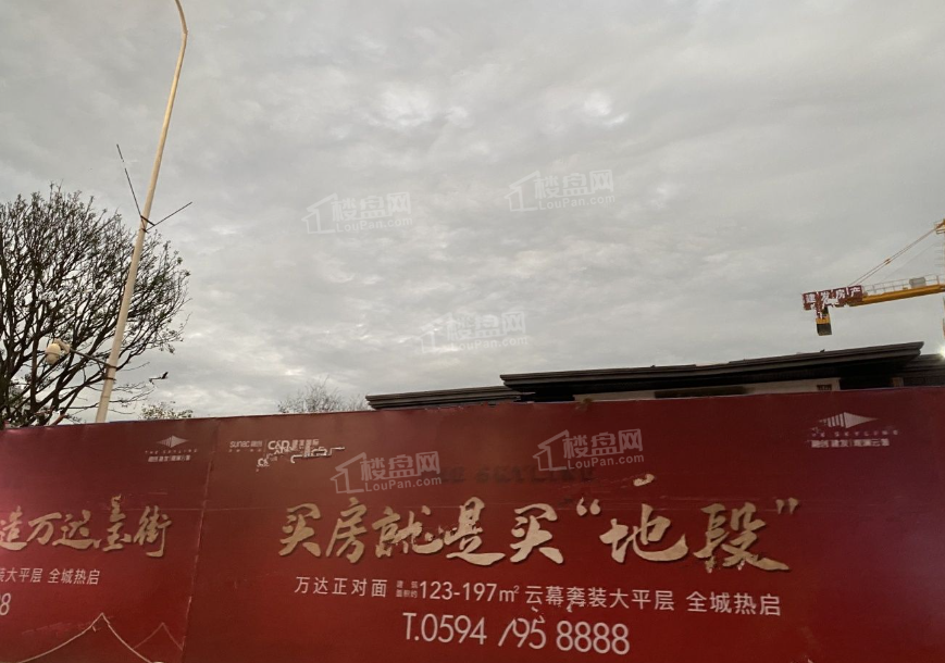 实景图