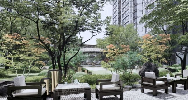 效果图