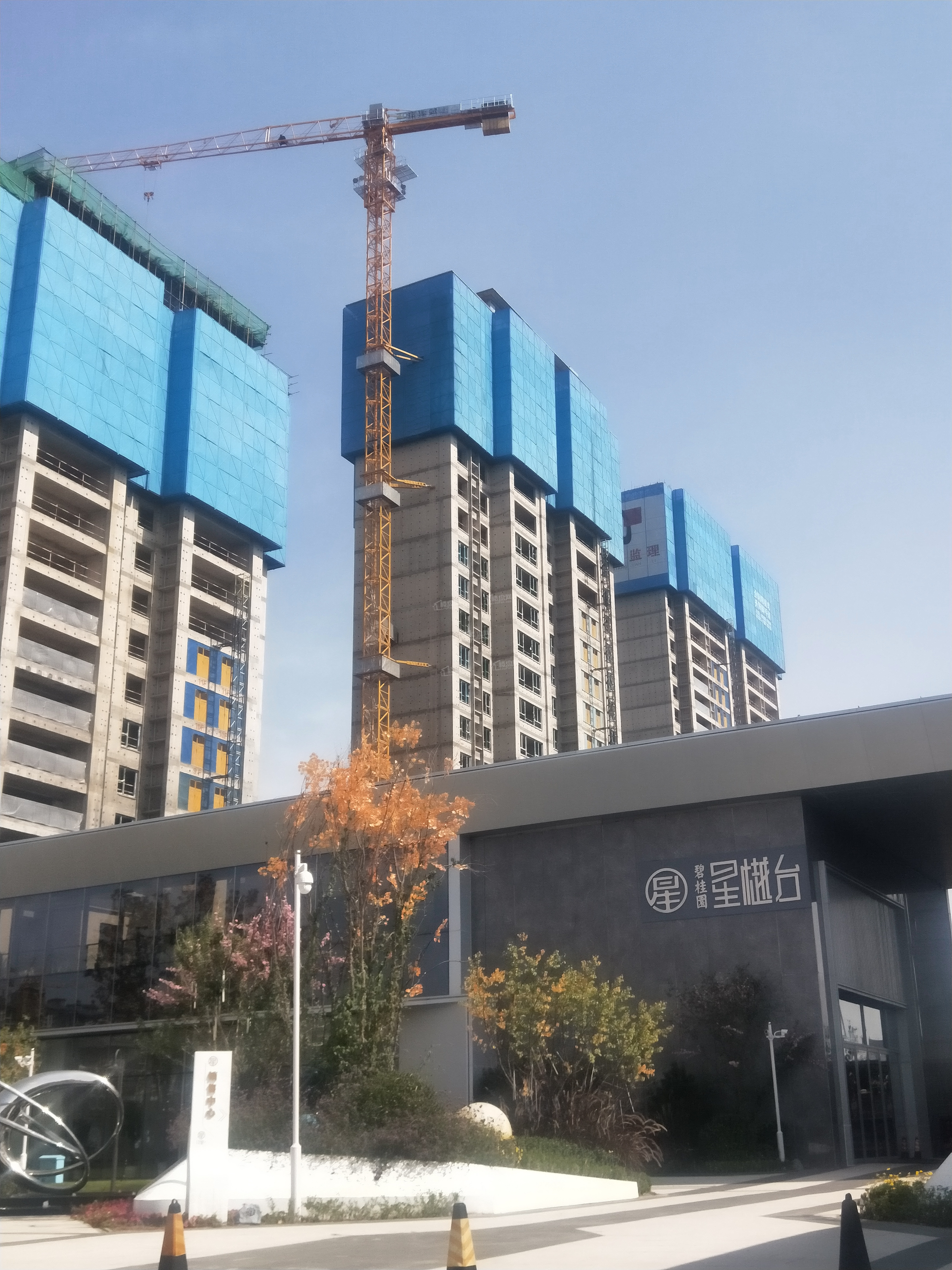碧桂园星荟里图片_户型图_样板间图_装修效果图-银川楼盘网