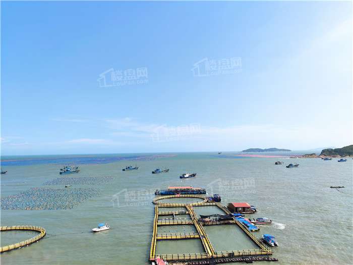 定海湾度假城配套图