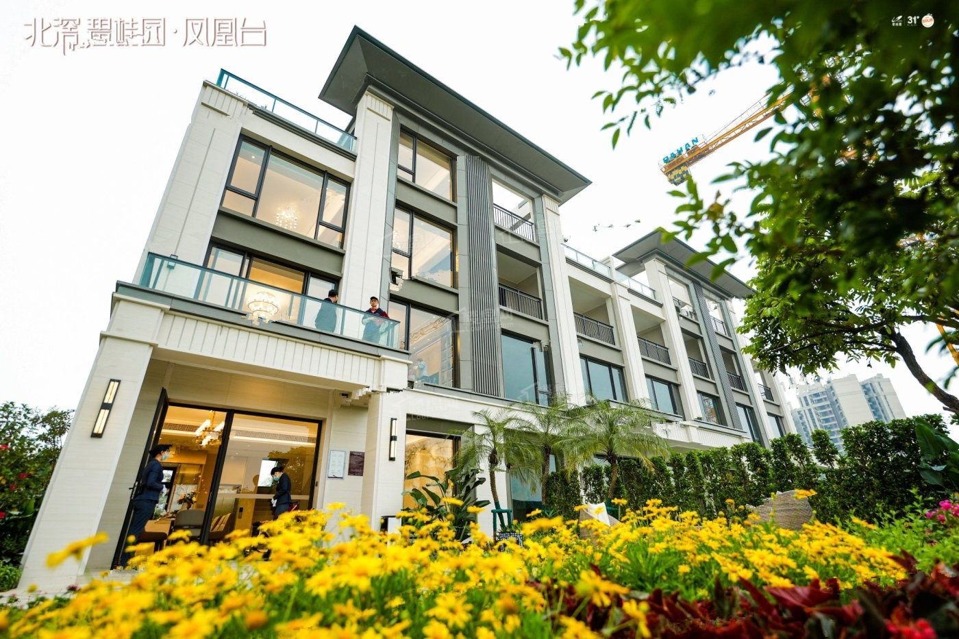 碧桂园凤凰台_佛山碧桂园凤凰台房价_楼盘怎么样-佛山楼盘网