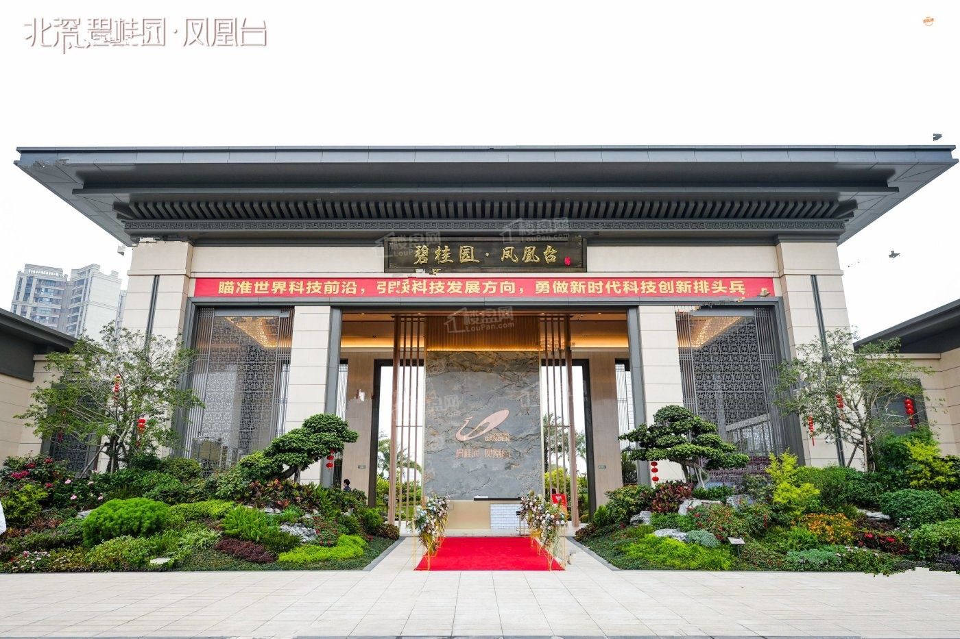 碧桂园凤凰台_佛山碧桂园凤凰台房价_楼盘怎么样-佛山楼盘网