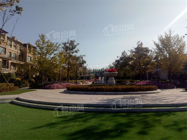 新湖美丽洲实景图