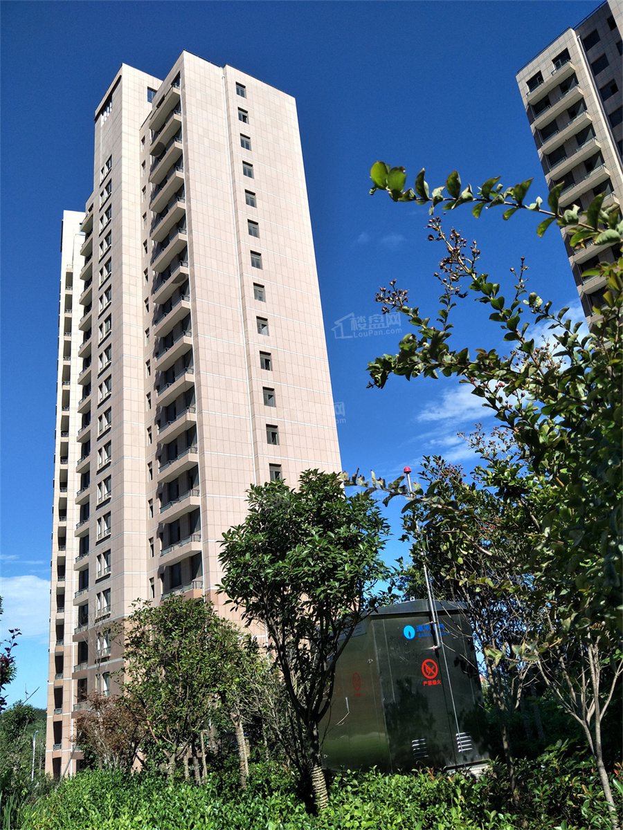 买房建议！2025年威海良心盘伴山云墅、碧桂园·玖玺台哪个更好?