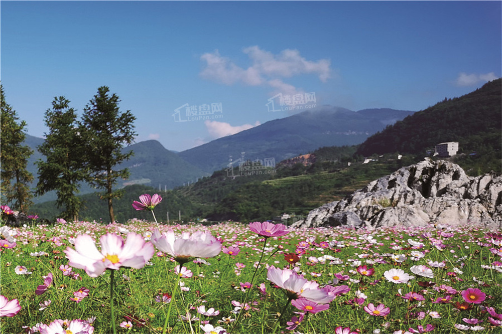 仙女山懒坝禅境艺术小镇配套图