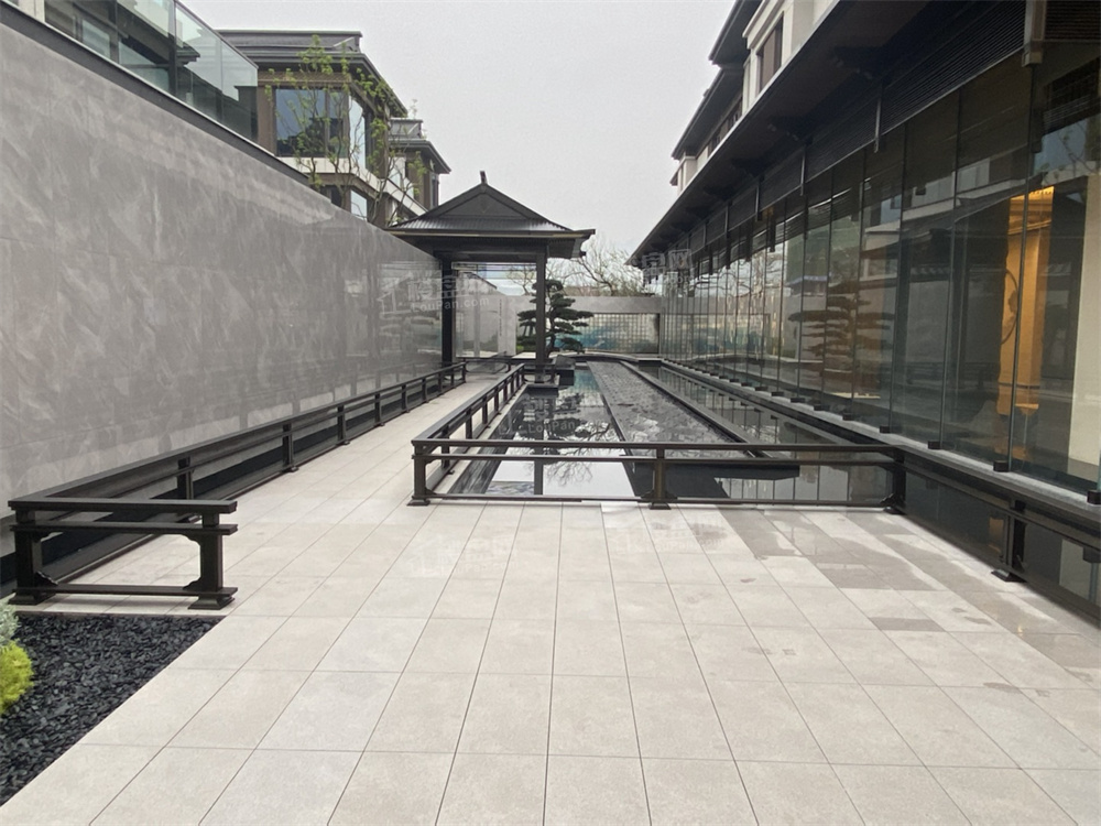 清韵阶庭清韵阶庭实景图