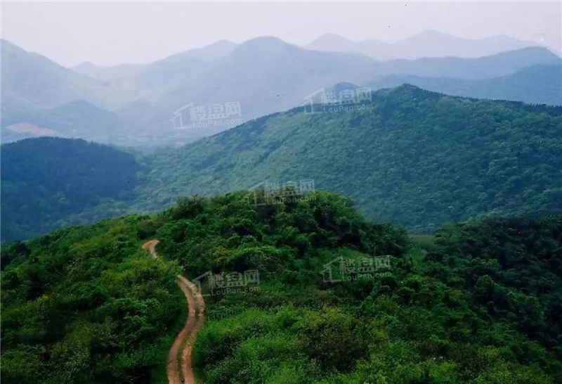 龙湖央颂配套图