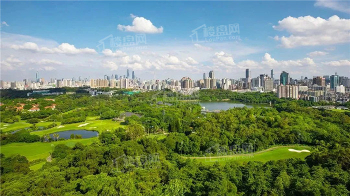 淮阳区淮阳建业尊府的房子绿化覆盖有多少？开发商信誉如何？