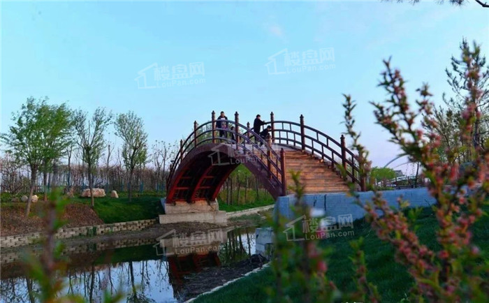 郸城建业青云府效果图