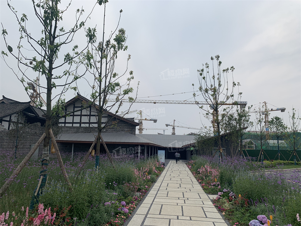 实力新盘是哪些?-成都楼盘网