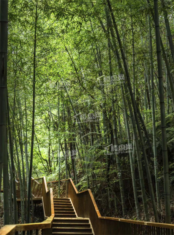 在峨眉在峨眉效果图