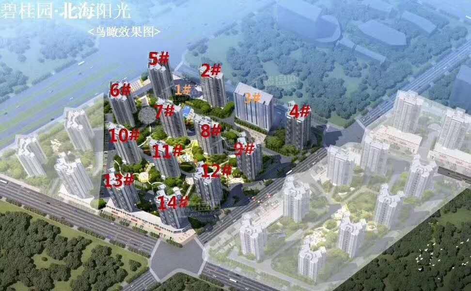 雅居乐金海湾效果图