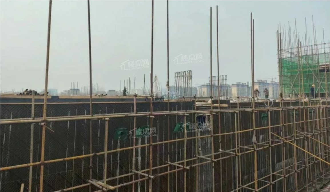 实景图