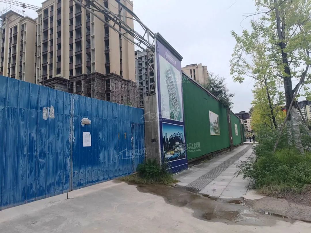 2026年高坪区新房阳光云境、恒益欧麓上城哪个有前景?