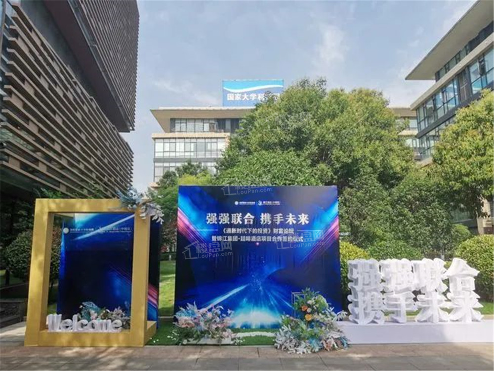 2025年买房|洛阳新房价格跌了吗？哪些楼盘比较热门？