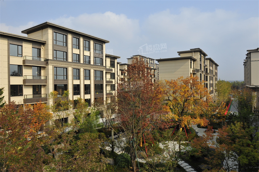 北互·壹品莲城效果图