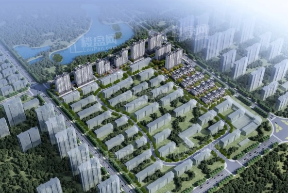 买房导航|滨城区有哪些热门好房？买什么盘比较合适？