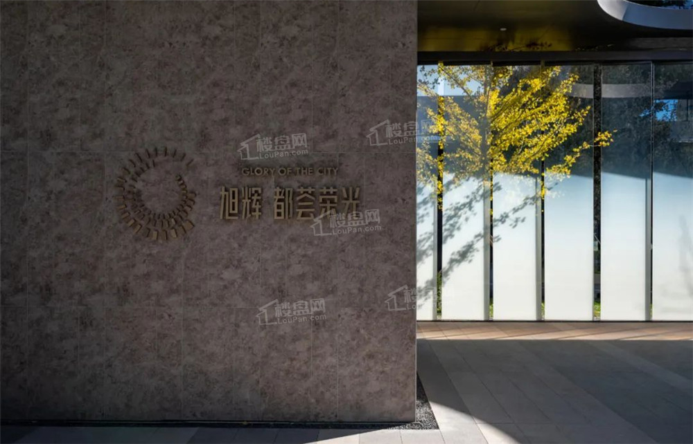 旭辉都荟荣光 旭辉都荟荣光效果图