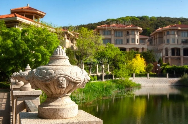 中体祥颐伴湖效果图