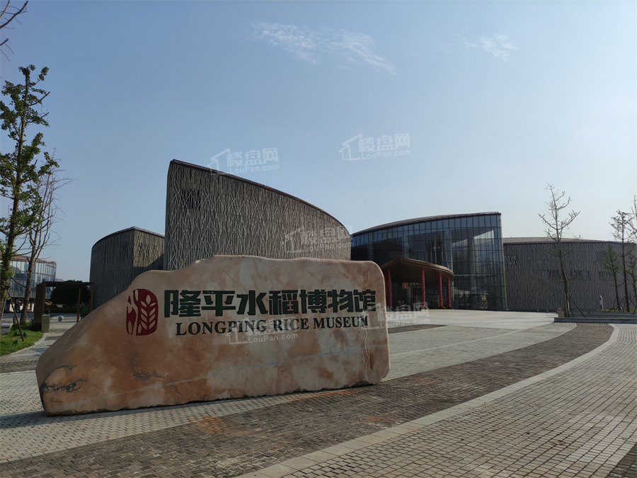 绿城柳畔听澜配套图