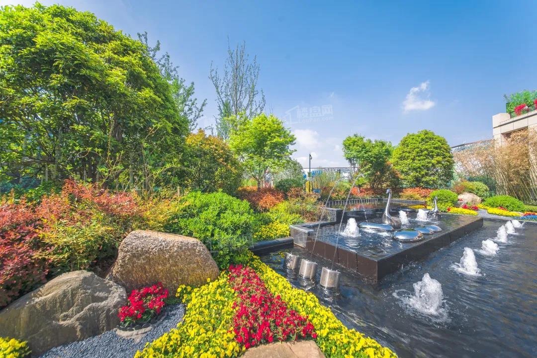 汝阳碧桂园二期物业费：暂无信息