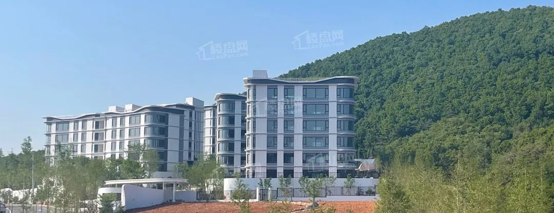 光伸郡府光伸郡府效果图