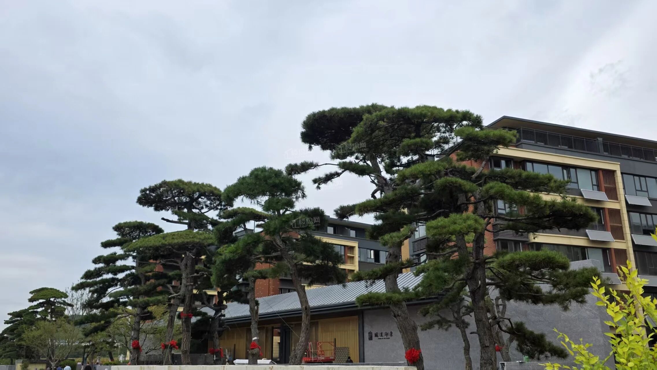 城发印象城发印象实景图