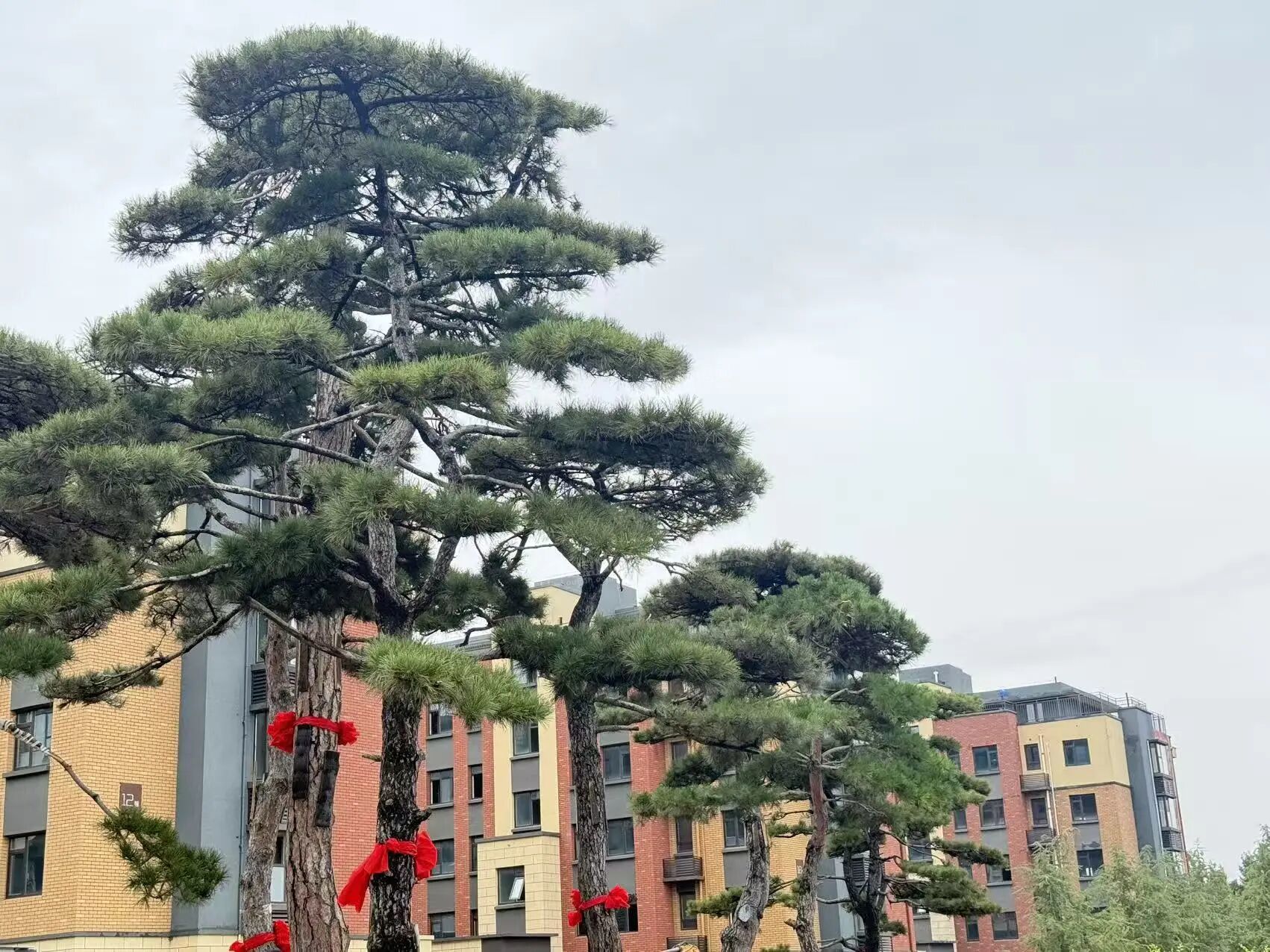 城发印象城发印象实景图