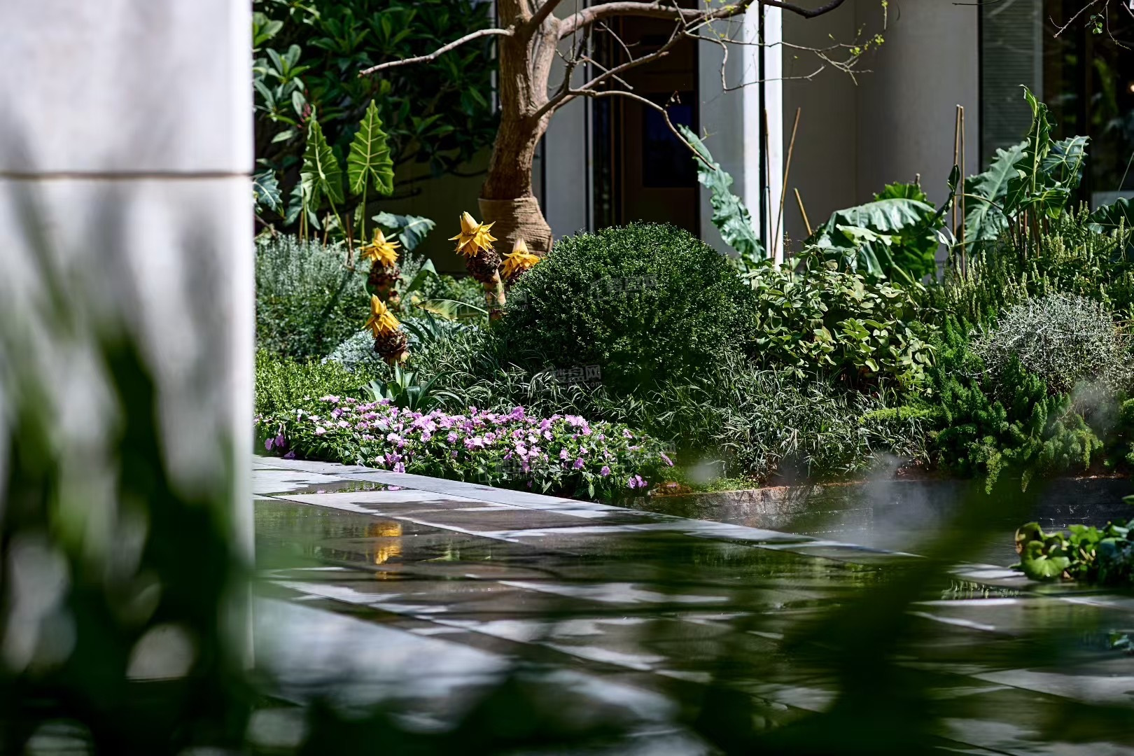 中寰悦府中寰悦府实景图