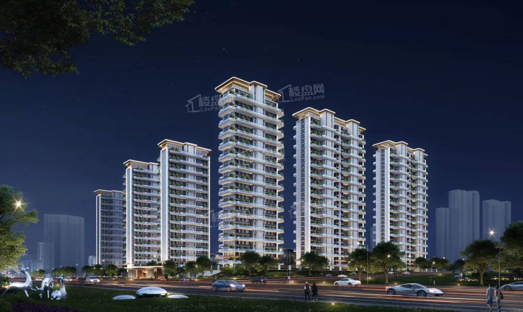 龙山云起龙山云起效果图