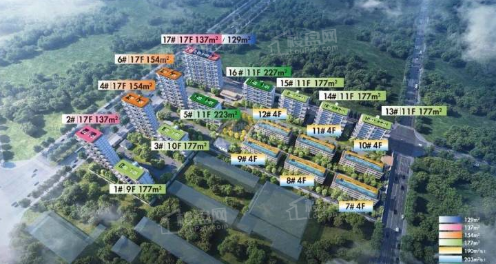 新元序效果图