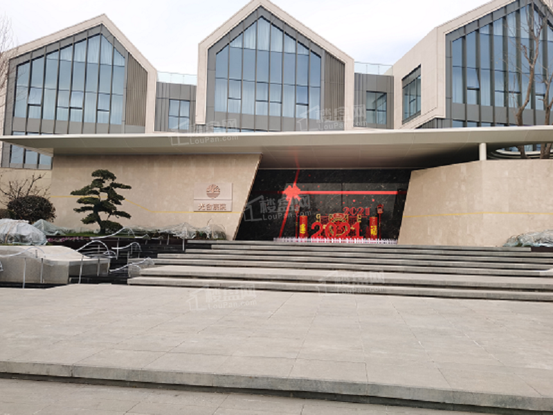 新洲光合宸院实景图